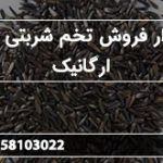 بازار فروش تخم شربتی ریز ارگانیک
