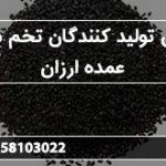 بهترین تولید کنندگان تخم شربتی عمده ارزان