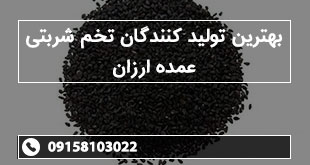 بهترین تولید کنندگان تخم شربتی عمده ارزان