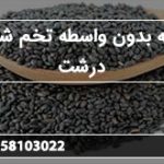 عرضه بدون واسطه تخم شربتی درشت