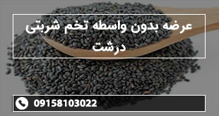 عرضه بدون واسطه تخم شربتی درشت