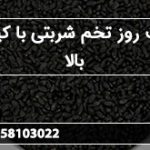 قیمت روز تخم شربتی با کیفیت بالا