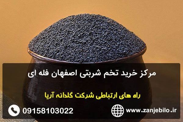 مرکز خرید تخم شربتی اصفهان فله ای