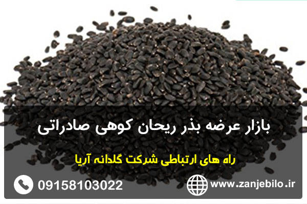 بازار عرضه بذر ریحان کوهی صادراتی