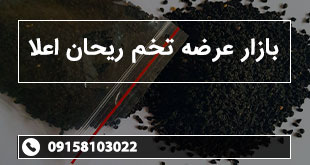 بازار عرضه تخم ریحان اعلا