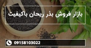 بازار فروش بذر ریحان باکیفیت