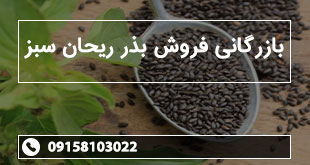 بازرگانی فروش بذر ریحان سبز