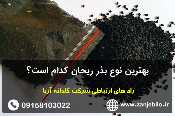 بهترین نوع بذر ریحان کدام است؟