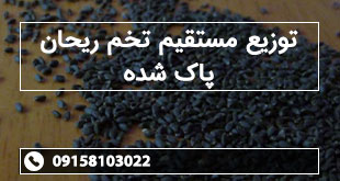 توزیع مستقیم تخم ریحان پاک شده