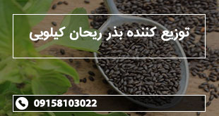 توزیع کننده بذر ریحان کیلویی