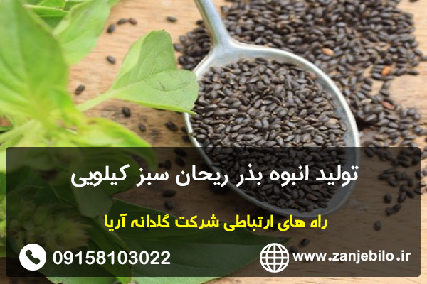تولید انبوه بذر ریحان سبز کیلویی