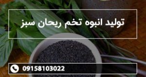 تولید انبوه تخم ریحان سبز