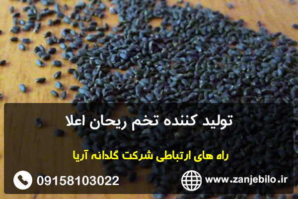 تولید کننده تخم ریحان اعلا