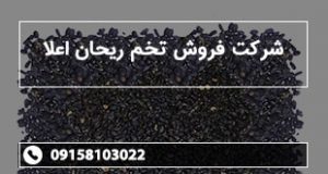 شرکت فروش تخم ریحان اعلا