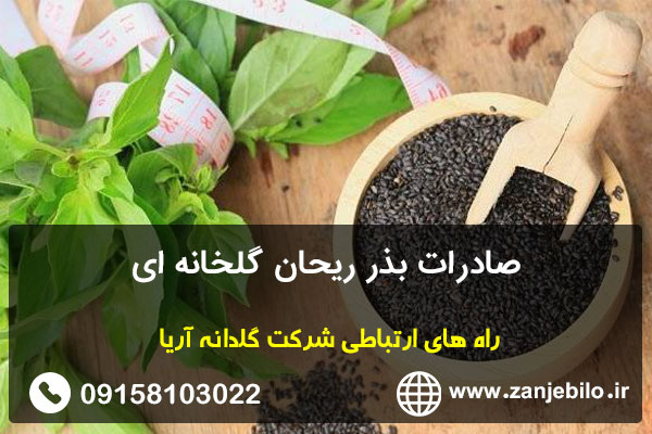 صادرات بذر ریحان گلخانه ای