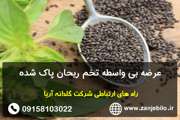 عرضه بی واسطه تخم ریحان پاک شده