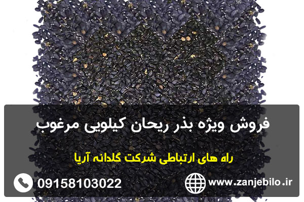 فروش ویژه بذر ریحان کیلویی مرغوب