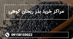 مراکز خرید بذر ریحان کوهی