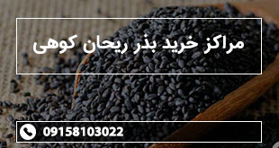 مراکز خرید بذر ریحان کوهی