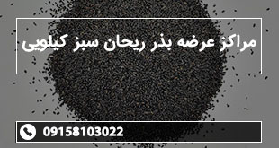 مراکز عرضه بذر ریحان سبز کیلویی