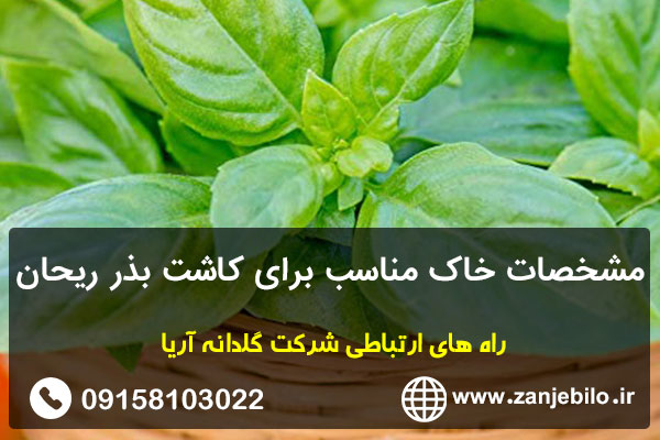 مشخصات خاک مناسب برای کاشت بذر ریحان