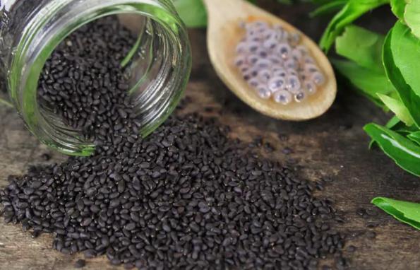 خواص تخم ریحان برای لاغری