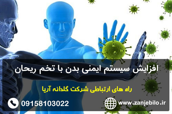 افزایش سیستم ایمنی بدن با تخم ریحان