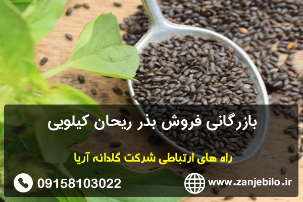 بازرگانی فروش بذر ریحان کیلویی
