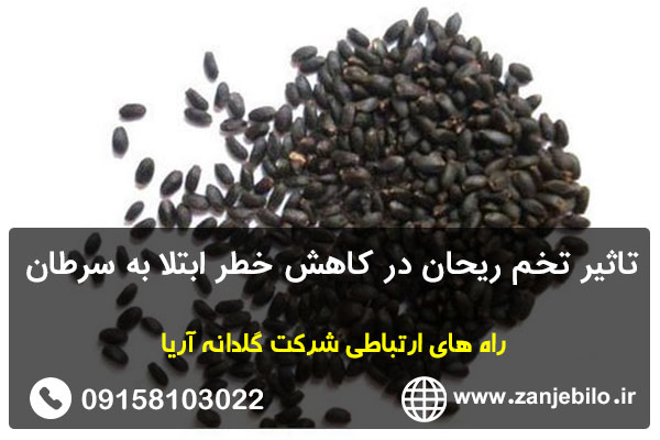 تاثیر تخم ریحان در کاهش خطر ابتلا به سرطان