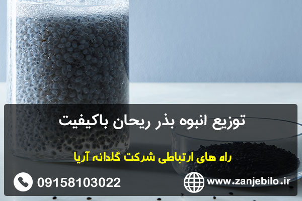 توزیع انبوه بذر ریحان باکیفیت