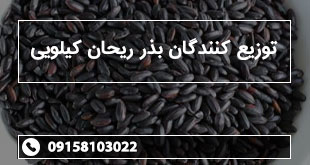 توزیع کنندگان بذر ریحان کیلویی