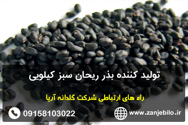 تولید کننده بذر ریحان سبز کیلویی