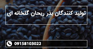 تولید کنندگان بذر ریحان گلخانه ای