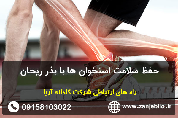 حفظ سلامت استخوان ها با بذر ریحان