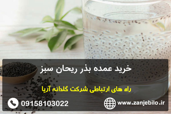 خرید عمده بذر ریحان سبز
