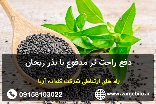 دفع راحت تر مدفوع با بذر ریحان