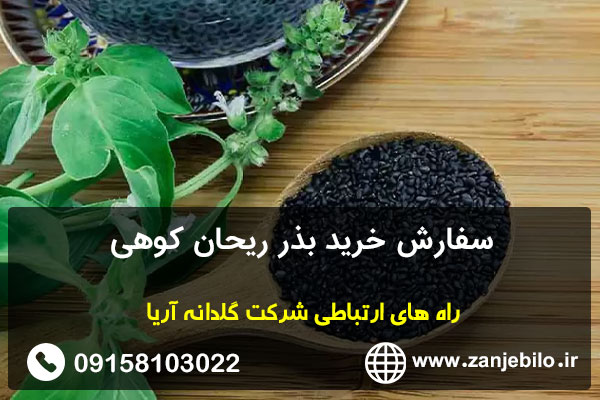 سفارش خرید بذر ریحان کوهی