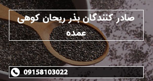 صادر کنندگان بذر ریحان کوهی عمده