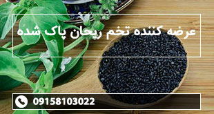 عرضه کننده تخم ریحان پاک شده