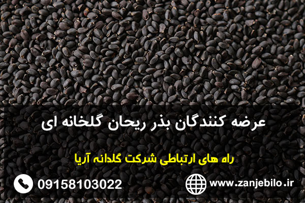 عرضه کنندگان بذر ریحان گلخانه ای