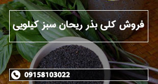 فروش کلی بذر ریحان سبز کیلویی