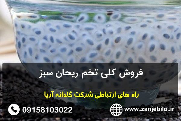 فروش کلی تخم ریحان سبز