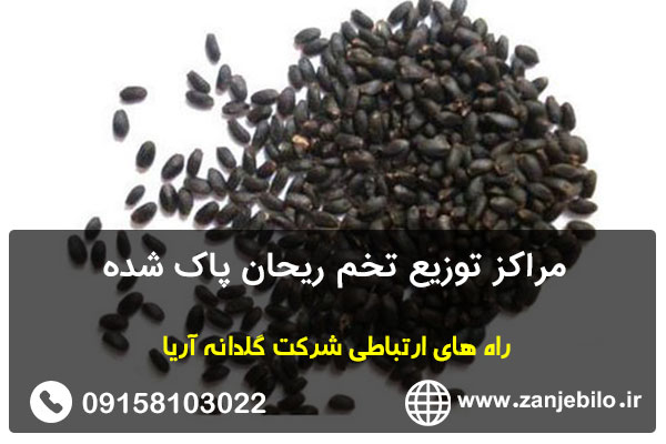 مراکز توزیع تخم ریحان پاک شده