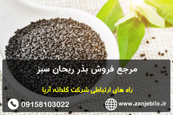 مرجع فروش بذر ریحان سبز