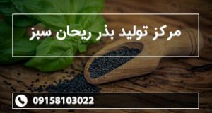 مرکز تولید بذر ریحان سبز