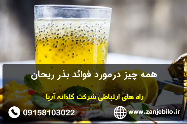 همه چیز درمورد فوائد بذر ریحان