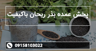 پخش عمده بذر ریحان باکیفیت