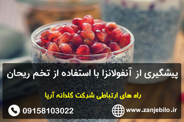 پیشگیری از آنفولانزا با استفاده از تخم ریحان