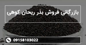 بازرگانی فروش بذر ریحان کوهی