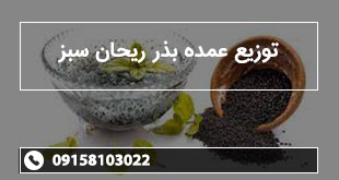 توزیع عمده بذر ریحان سبز